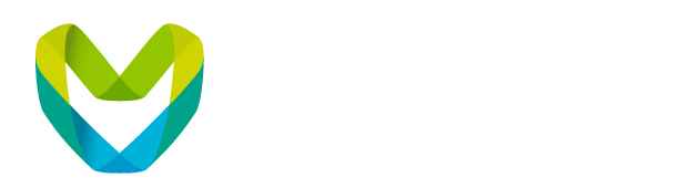 Metaverse Standars Forum