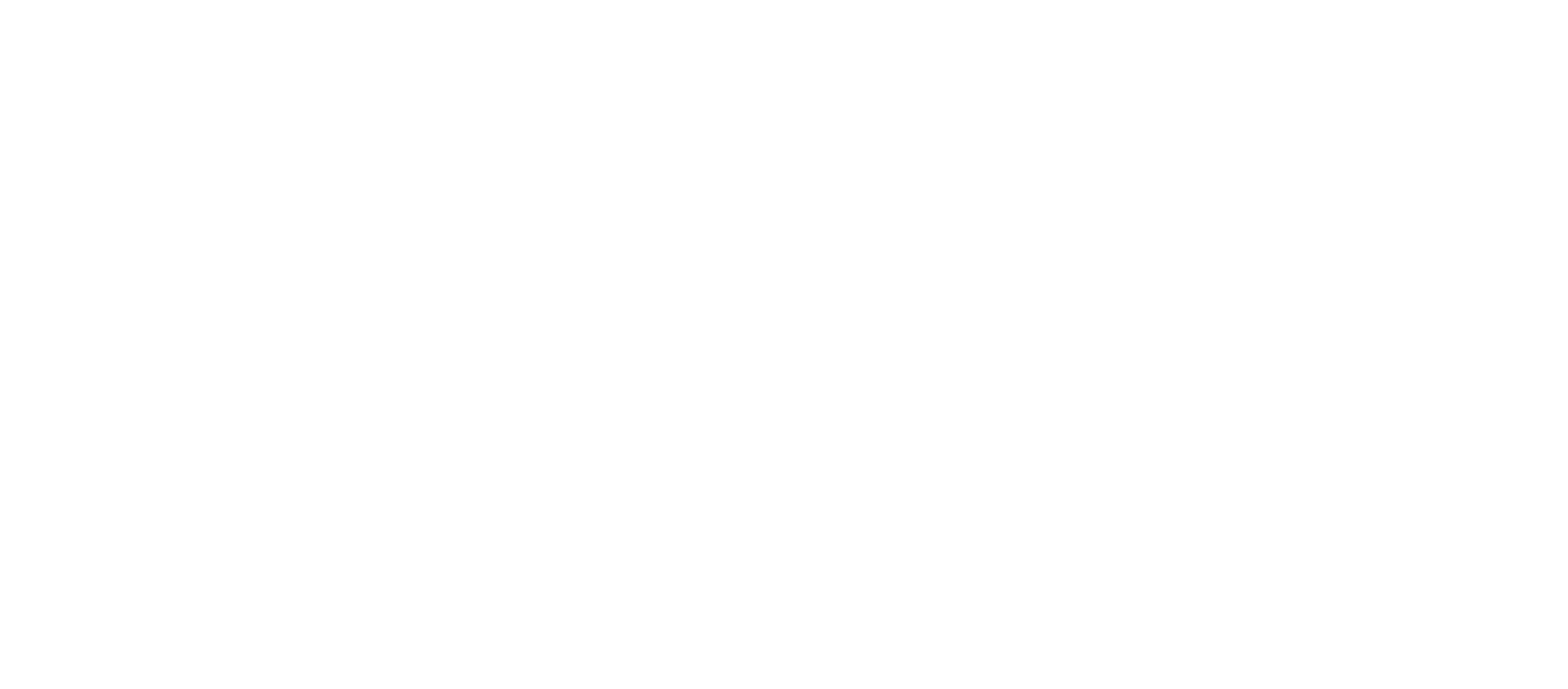 Primal Game Studio